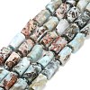 Natural Larimar Beads Strands G-F836-B09-01-1