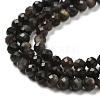 Natural Silver Sheen Obsidian Beads Strands G-E608-A02-C-3