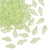 Transparent Acrylic Charms TACR-F009-11B-1