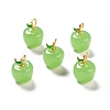 Handmade Lampwork Pendants LAMP-A150-06MG-08-01-2