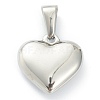 304 Stainless Steel Pendants STAS-P278-01X-P-2