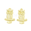 Rack Plating Alloy Pendants FIND-Q108-01G-1