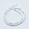 Natural Howlite Beads Strands G-F631-A03-2
