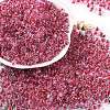 Transparent Inside Colours Glass Seed Beads SEED-A032-04K-1