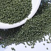 MIYUKI Delica Beads X-SEED-J020-DB1135-1