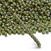 TOHO 11/0 Round Beads SEED-TR11-2632F-2
