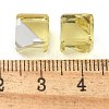 K9 Glass Imitation Austrian Crystal Beads GLAA-P069-01C-213-3