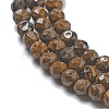 Natural Tiger Iron Beads Strands G-B120-A01-01-4