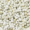 Two Tone Baking Paint Glass Seed Beads SEED-F005-01A-10-3
