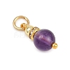 5Pcs 5 Styles Natural Green Aventurine & Rose Quartz & Amethyst & Dyed White Jade & Citrine Round Charms PALLOY-JF04363-5