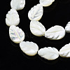 Natural Trochid Shell/Trochus Shell Beads Strands SSHEL-N034-135B-01-3