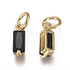 Brass Micro Pave Cubic Zirconia Charms ZIRC-F111-03G-04-2