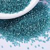 MIYUKI Delica Beads SEED-X0054-DB1248-1