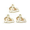 Zinc Alloy Enamel Pendants FIND-Z080-01G-03-1