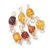 Natural Amber Connector Charms PALLOY-JF05366-2