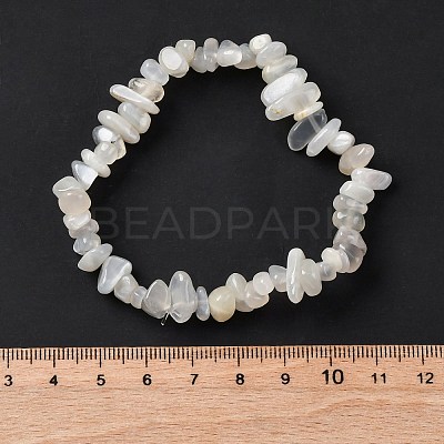 Natural White Moonstone Stretch Bracelets BJEW-JB03681-09-1