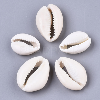 Natural Cowrie Shell Beads X-SSHEL-N034-34-1