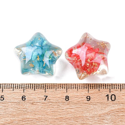 Transparent Resin & Natural Shell Beads RESI-B039-03B-1