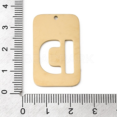 304 Stainless Steel Pendants STAS-D200-01D-G-1