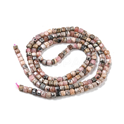 Natural Rhodonite Beads Strands G-Q1005-F-01-1