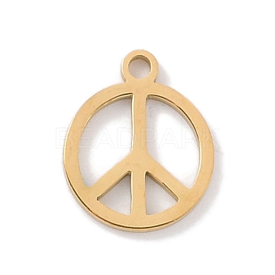 304 Stainless Steel Charms STAS-K286-01B-G-1
