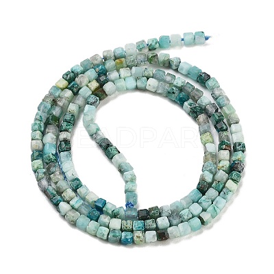 Natural Chrysocolla Beads Strands G-H042-B29-01-1