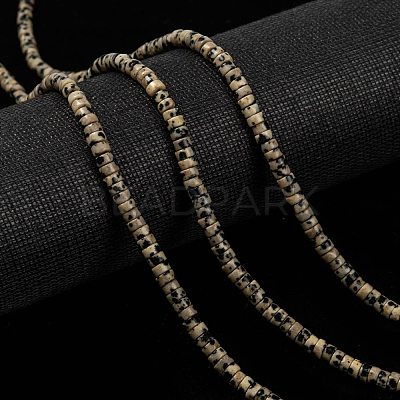 Natural Dalmatian Jasper Beads Strands G-L528-10-1