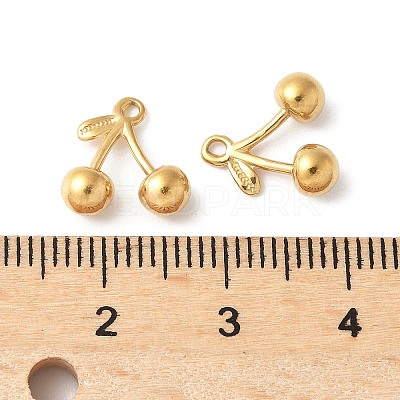 304 Stainless Steel Charms LS-STAS-Z133-01G-1