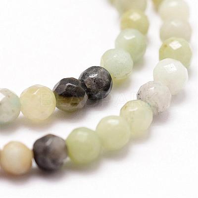 Natural Flower Amazonite Beads Strands G-D840-24-4mm-1