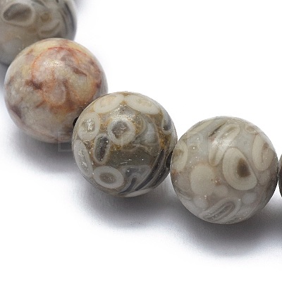 Natural Maifanite/Maifan Stone Bead Stretch Bracelets X-BJEW-K212-B-044-1
