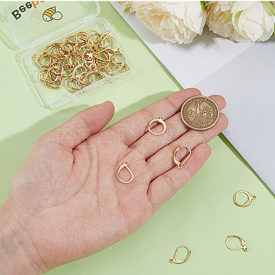 60Pcs 3 Styles 304 Stainless Steel Leverback Earring Findings STAS-BBC0008-30C-1