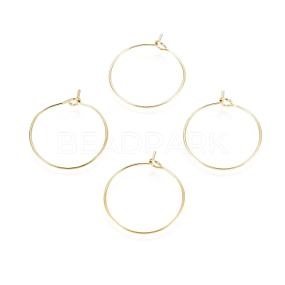 Ion Plating(IP) 316L Surgical Stainless Steel Hoop Earring Findings X-STAS-D164-05G-1