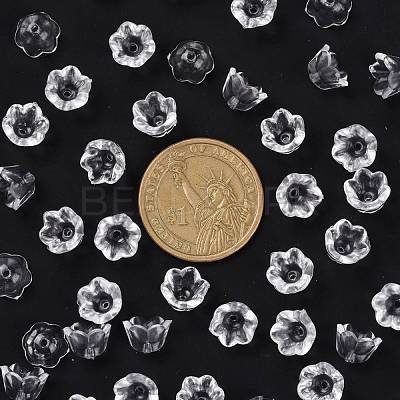 Transparent Acrylic Beads X-PL548-1-1