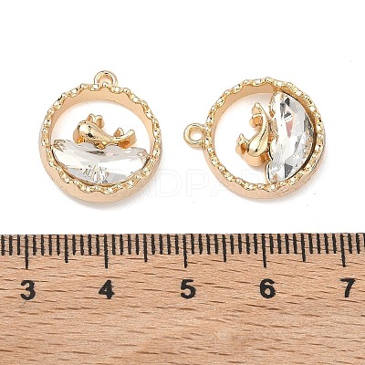 Alloy Glass Pendants FIND-B061-05G-A02-1