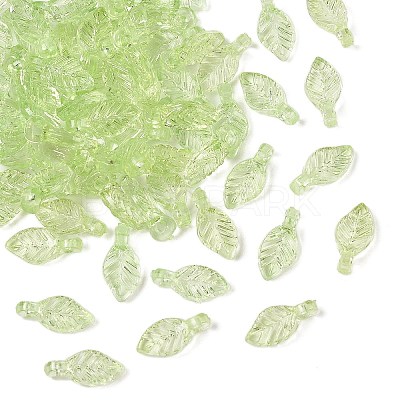 Transparent Acrylic Charms TACR-F009-11B-1