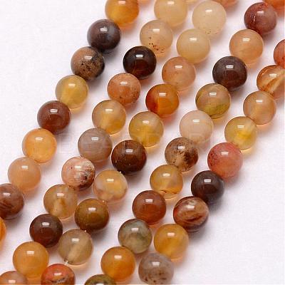 Natural Petrified Wood Bead Strands G-K146-42-3mm-1