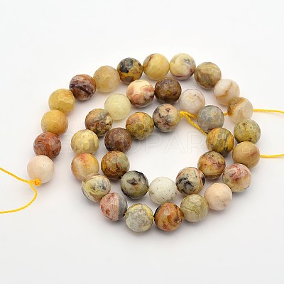 Faceted Round Natural Crazy Agate Beads Strands G-E302-064-10mm-1