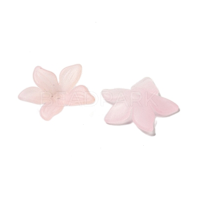 Transparent Acrylic Beads Caps OACR-B022-02B-1
