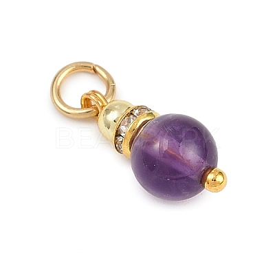 5Pcs 5 Styles Natural Green Aventurine & Rose Quartz & Amethyst & Dyed White Jade & Citrine Round Charms PALLOY-JF04363-1