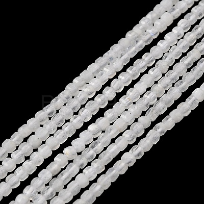 Natural Rainbow Moonstone Beads Strands G-I353-04-1