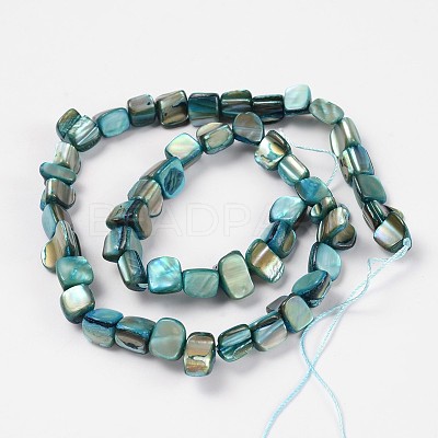 Shell Beads Strands X-PBB051Y-1