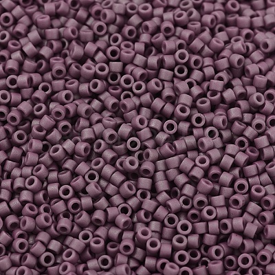 MIYUKI Delica Beads SEED-X0054-DB2295-1