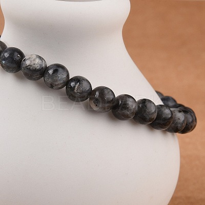 Natural Larvikite Bead Stretch Bracelets X-BJEW-K212-A-046-1