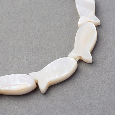 Natural Sea Shell Beads Strands X-SSHEL-Q296-39-1