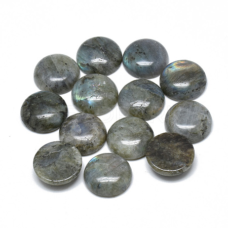 Natural Labradorite Cabochons X-G-T073-18-10mm-1