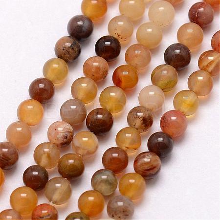 Natural Petrified Wood Bead Strands G-K146-42-3mm-1