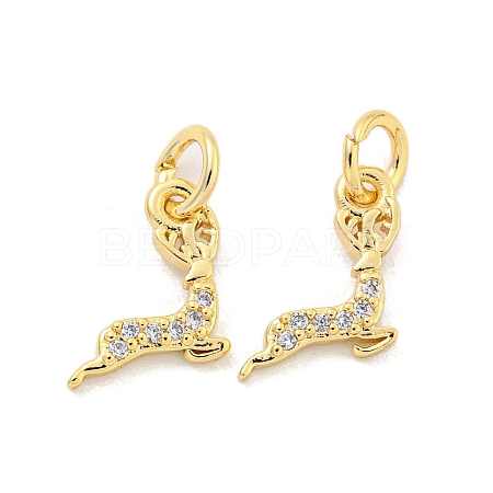 Brass Micro Pave Clear Cubic Zirconia Charms KK-Z044-31G-1