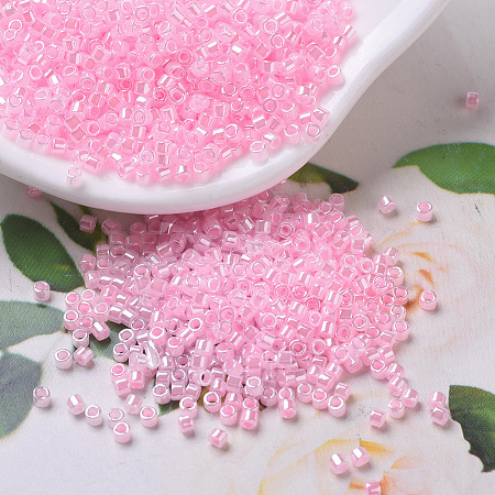 MIYUKI Delica Beads SEED-MY11-DB0244-1