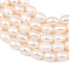 Natural Cultured Freshwater Pearl Beads Strands PEAR-F020-26A-4
