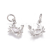 Brass Charms ZIRC-L070-94-2